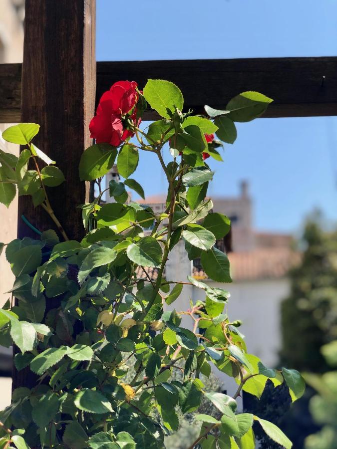 B&B Patatina Venice Exterior photo